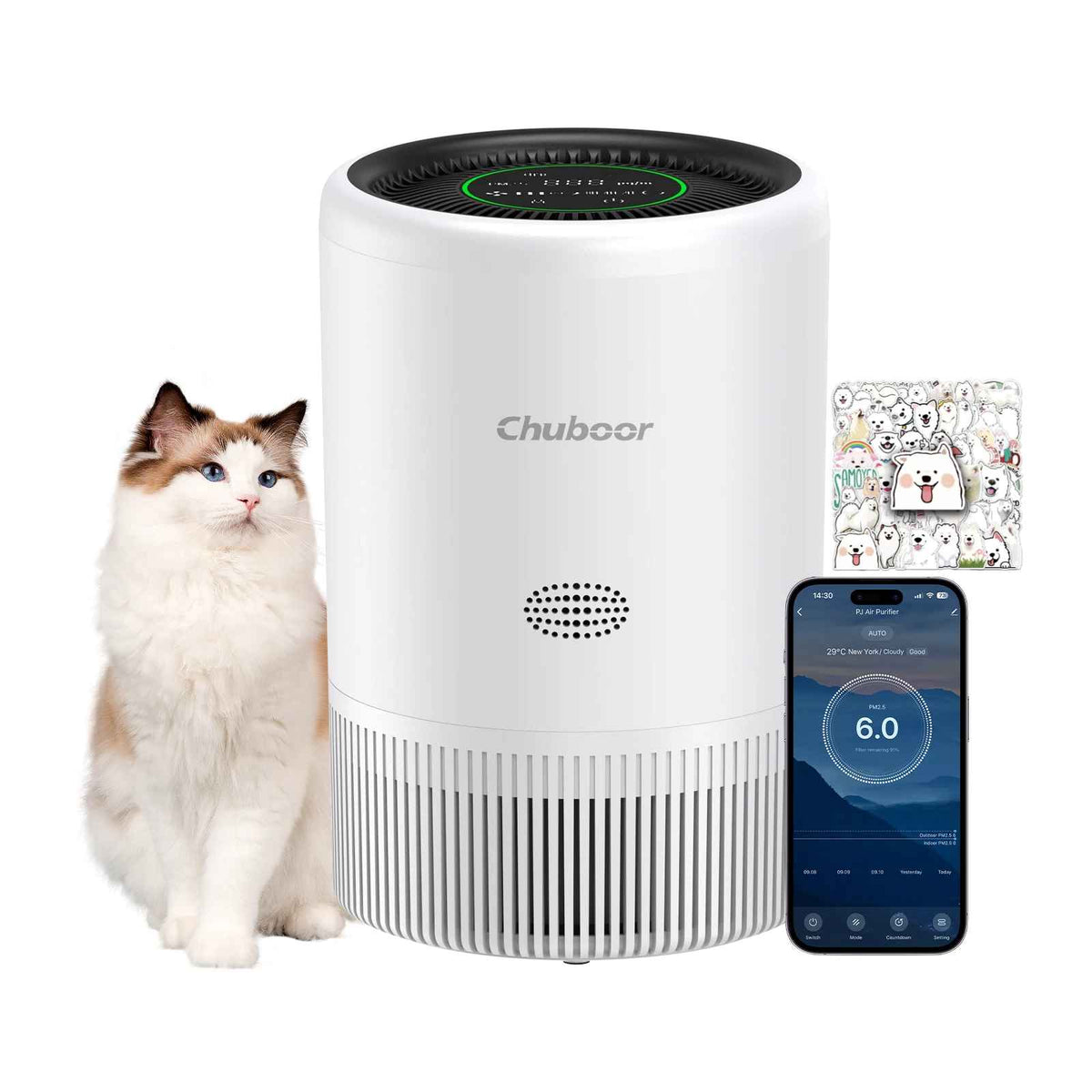 Smart Air Purifier